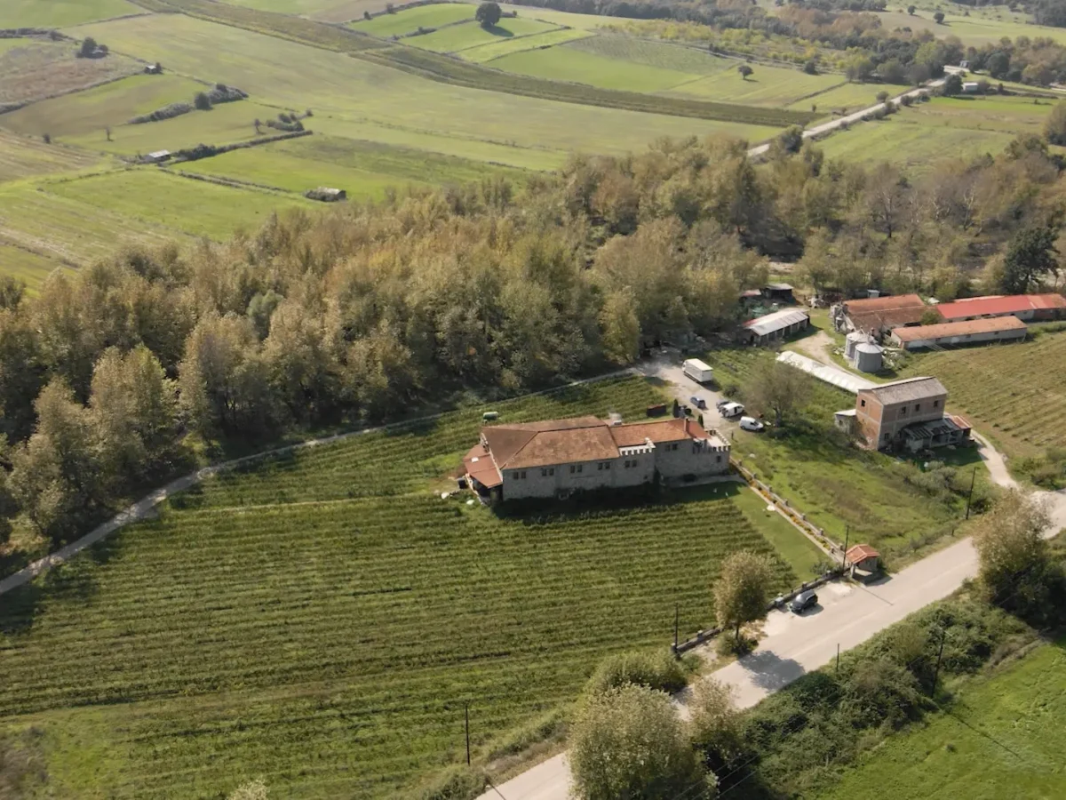 Screenshot 2025-01-08 at 9.33.13 PM